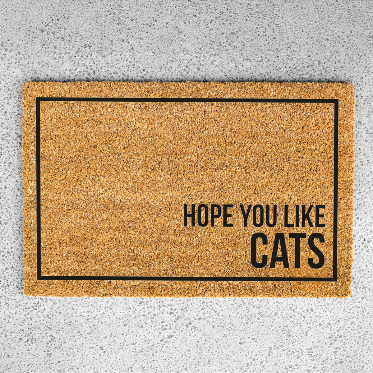Hope You Like Cats Doormat, Funny Cat Welcome Mat, Cat Lover Gift, Cat Owner Door Mat, Minimalist Housewarming Gift, Front Door Cat Decor