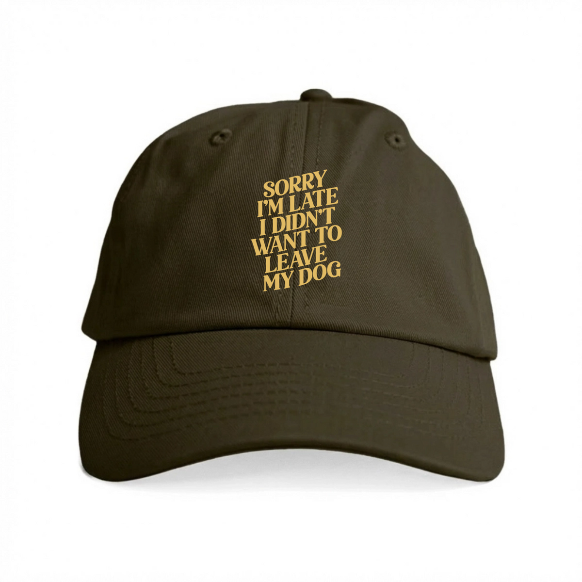 Sorry I'm Late I Didn't Want to Leave My Dog Hat