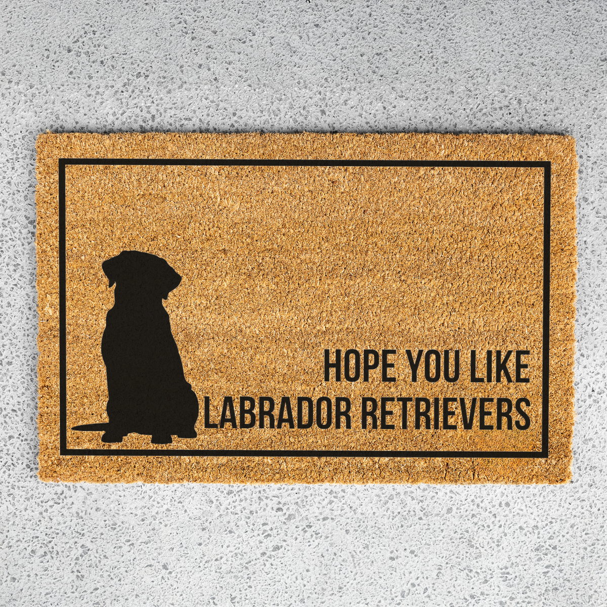 Labrador Retriever Doormat, Funny Lab Welcome Mat, Hope You Like Labradors Doormat, Labrador Lover Gift, Dog Mom Gift, Housewarming Gift
