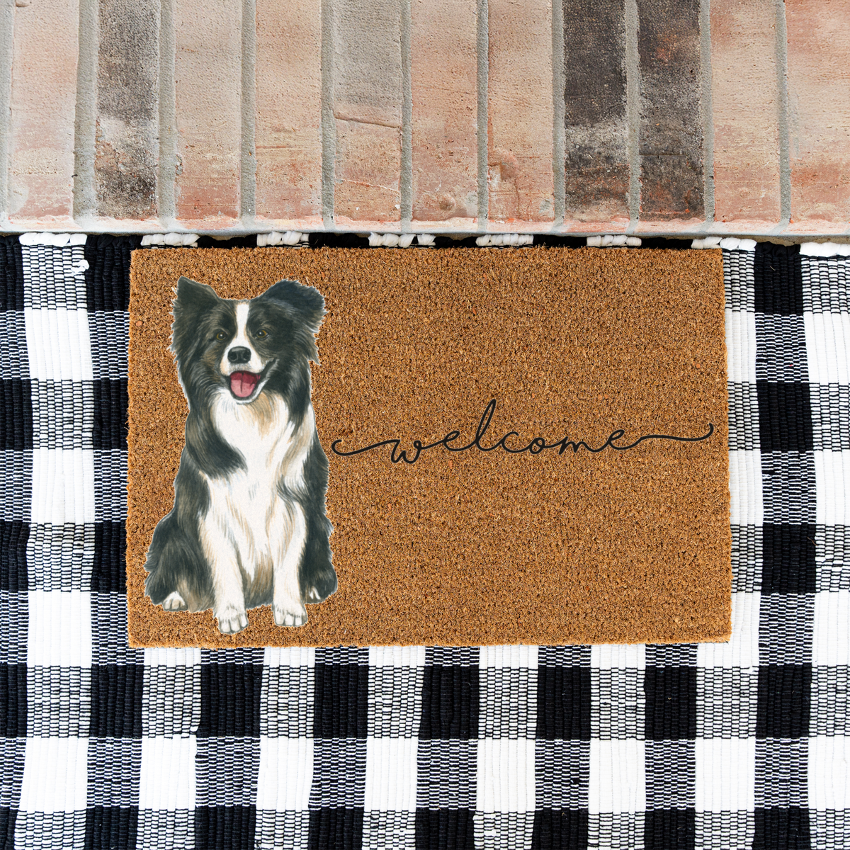 Border Collie Doormat, Dog Welcome Mat, Border Collie Lover Gift, Cute Dog Front Door Mat, Pet Lover Porch Decor, Housewarming Gift