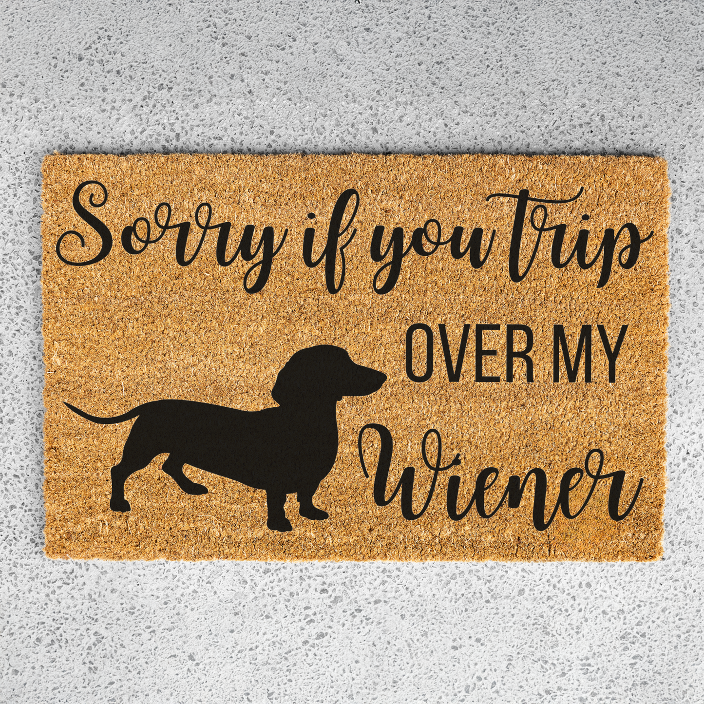 Sorry If You Trip Over My Weiner Doormat, Dog Welcome Doormat, Weiner Dog Doormat, Indoor Outdoor Rug, Durable Coir, Perfect for Pet Lovers