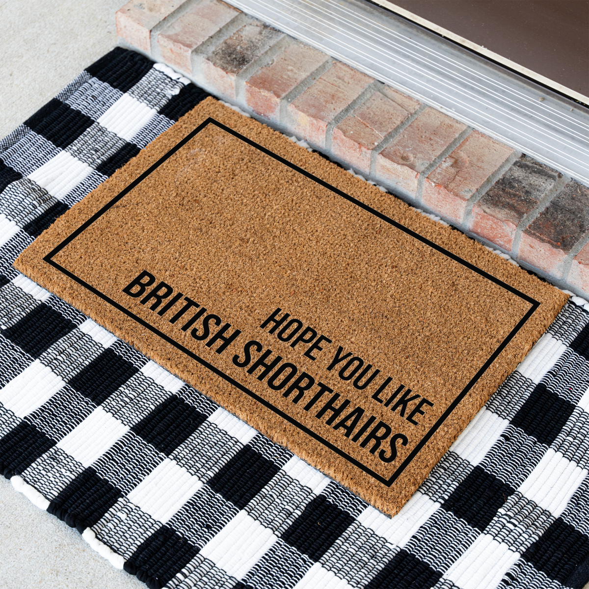 British Shorthair Cat Doormat, Hope You Like British Shorthairs Welcome Mat, Funny Cat Lover Gift, Cat Owner Door Mat, Housewarming Decor