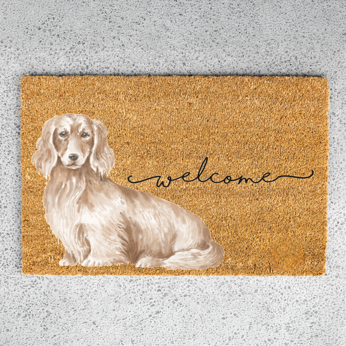 Long Haired Dachshund Doormat, Dachshund Welcome Mat, Wiener Dog Lover Gift, Dachshund Mom Gift, Cute Dog Porch Decor, Front Door Mat