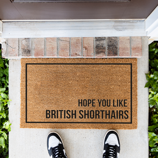 British Shorthair Cat Doormat, Hope You Like British Shorthairs Welcome Mat, Funny Cat Lover Gift, Cat Owner Door Mat, Housewarming Decor