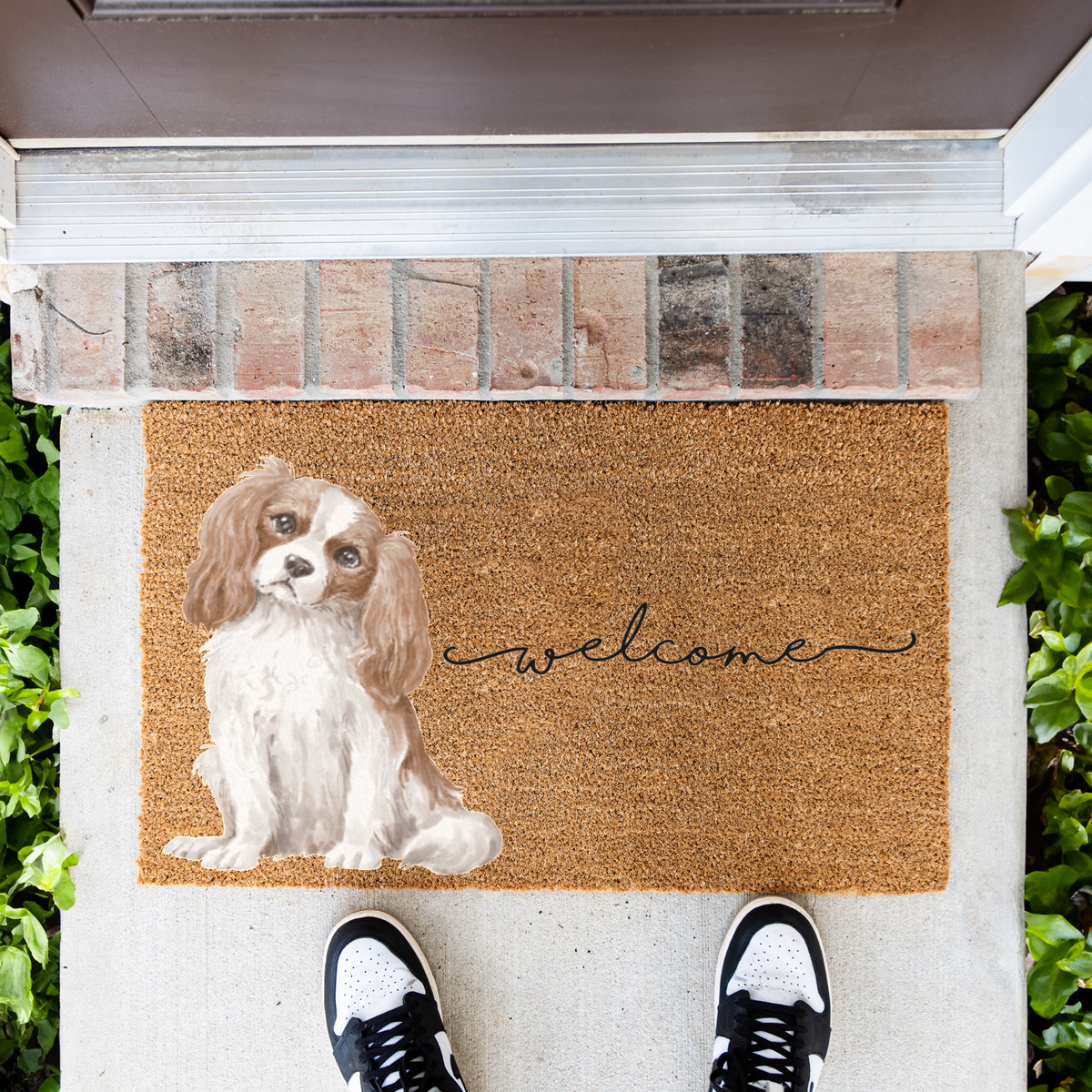 Cavalier King Charles Spaniel Doormat, Cavalier Welcome Mat, Dog Lover Gift, Cavalier Mom Gift, Cute Dog Porch Decor, Front Door Mat