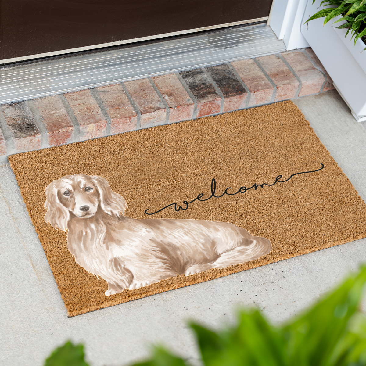 Long Haired Dachshund Doormat, Dachshund Welcome Mat, Wiener Dog Lover Gift, Dachshund Mom Gift, Cute Dog Porch Decor, Front Door Mat