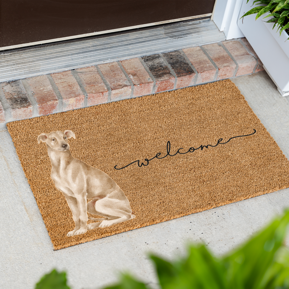 Italian Greyhound Doormat, Italian Greyhound Welcome Mat, Iggy Dog Lover Gift, Greyhound Mom Gift, Dog Porch Decor, Cute Front Door Mat