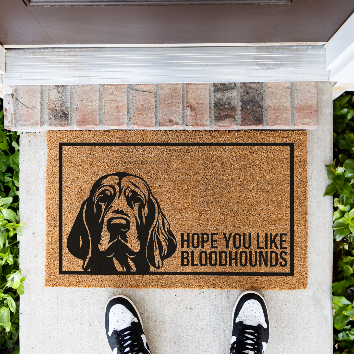 Hope You Like Bloodhounds doormat Welcome Dog Funny Doormat, Dog Bloodhounds Entryway Rug, Housewarming Gift, Indoor Outdoor Decor