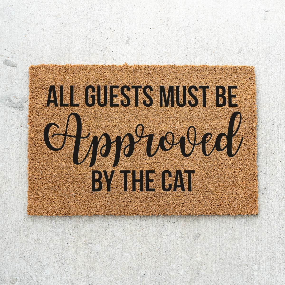 Funny Cat Doormat, All Guests Must Be Approved by the Cat, Cat Lover Welcome Mat, Humorous Front Door Decor, Cat Owner Housewarming Gift