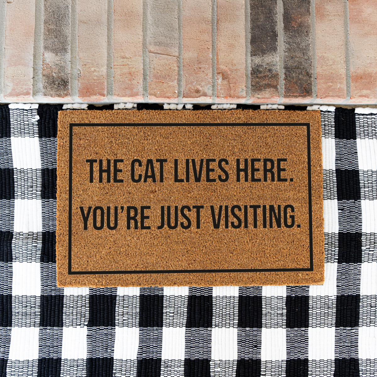 The Cat Lives Here You’re Just Visiting Doormat, Funny Cat Welcome Mat, Cat Lover Gift, Cat Owner Door Mat, Housewarming Front Door Decor