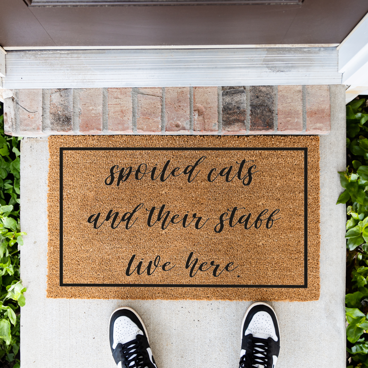 Spoiled Cats and Their Staff Live Here Doormat, Funny Cat Welcome Mat, Cat Lover Gift, Pet Owner Front Door Decor, Housewarming Gift
