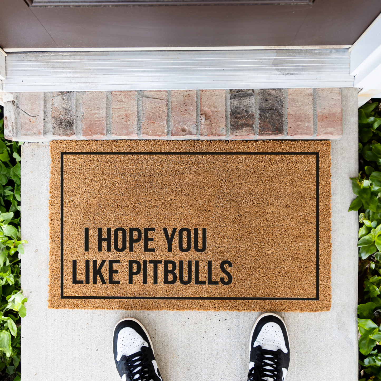 Hope You Like Pitbulls Dog Doormat, Welcome Dog Doormat, Funny Welcome Mat, Front Door Decor, Housewarming Gift, Pitbull Entrance Mat