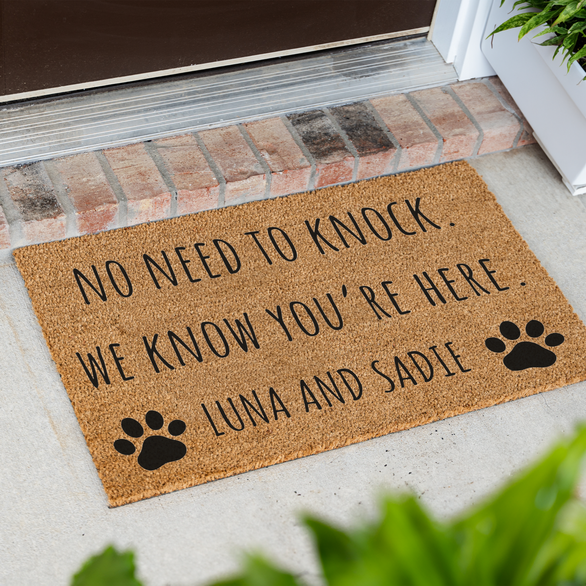 Personalized Pet Doormat, No Need to Knock We Know You’re Here, Custom Pet Name Welcome Mat, Paw Print Door Mat, Funny Pet Lover Gift