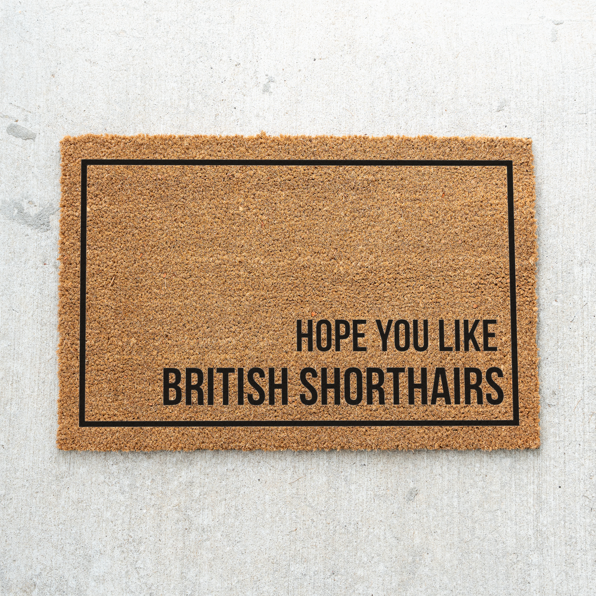 British Shorthair Cat Doormat, Hope You Like British Shorthairs Welcome Mat, Funny Cat Lover Gift, Cat Owner Door Mat, Housewarming Decor