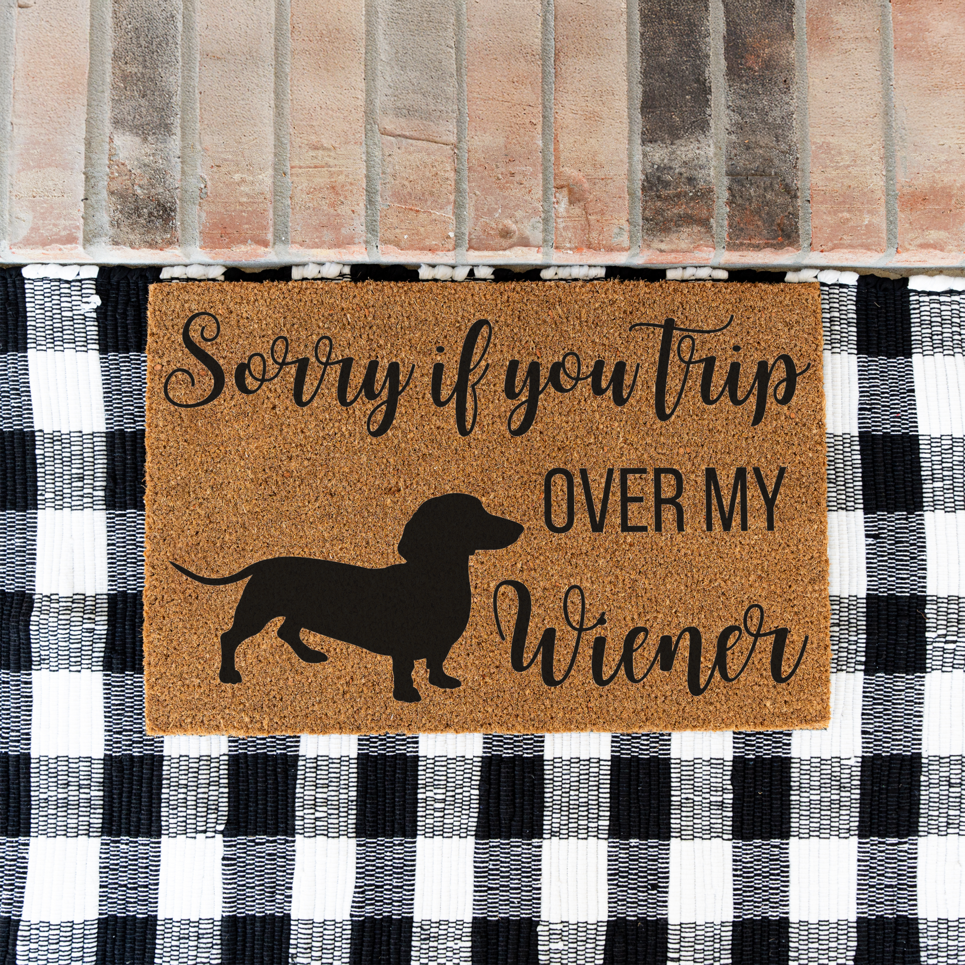Sorry If You Trip Over My Weiner Doormat, Dog Welcome Doormat, Weiner Dog Doormat, Indoor Outdoor Rug, Durable Coir, Perfect for Pet Lovers