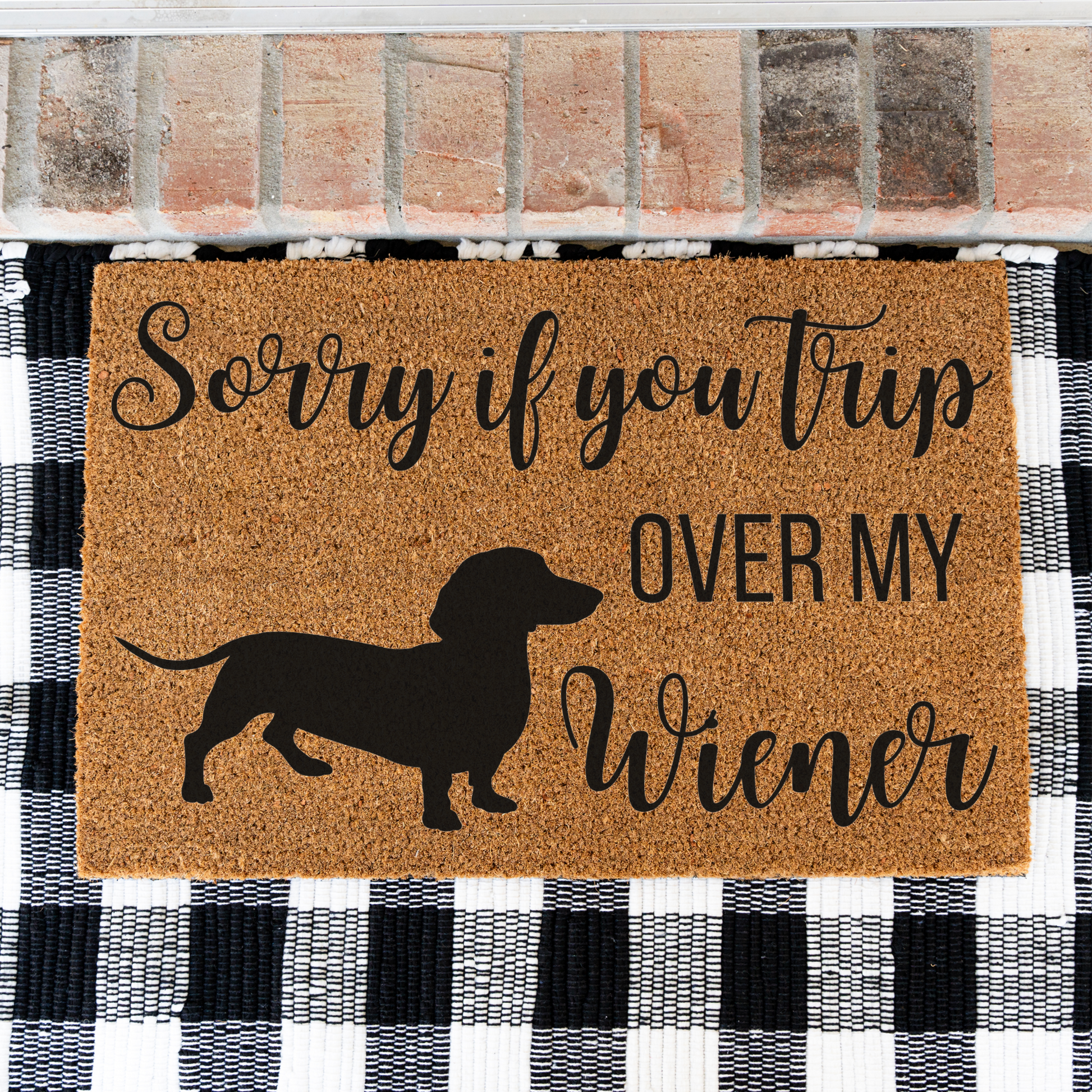 Sorry If You Trip Over My Weiner Doormat, Dog Welcome Doormat, Weiner Dog Doormat, Indoor Outdoor Rug, Durable Coir, Perfect for Pet Lovers
