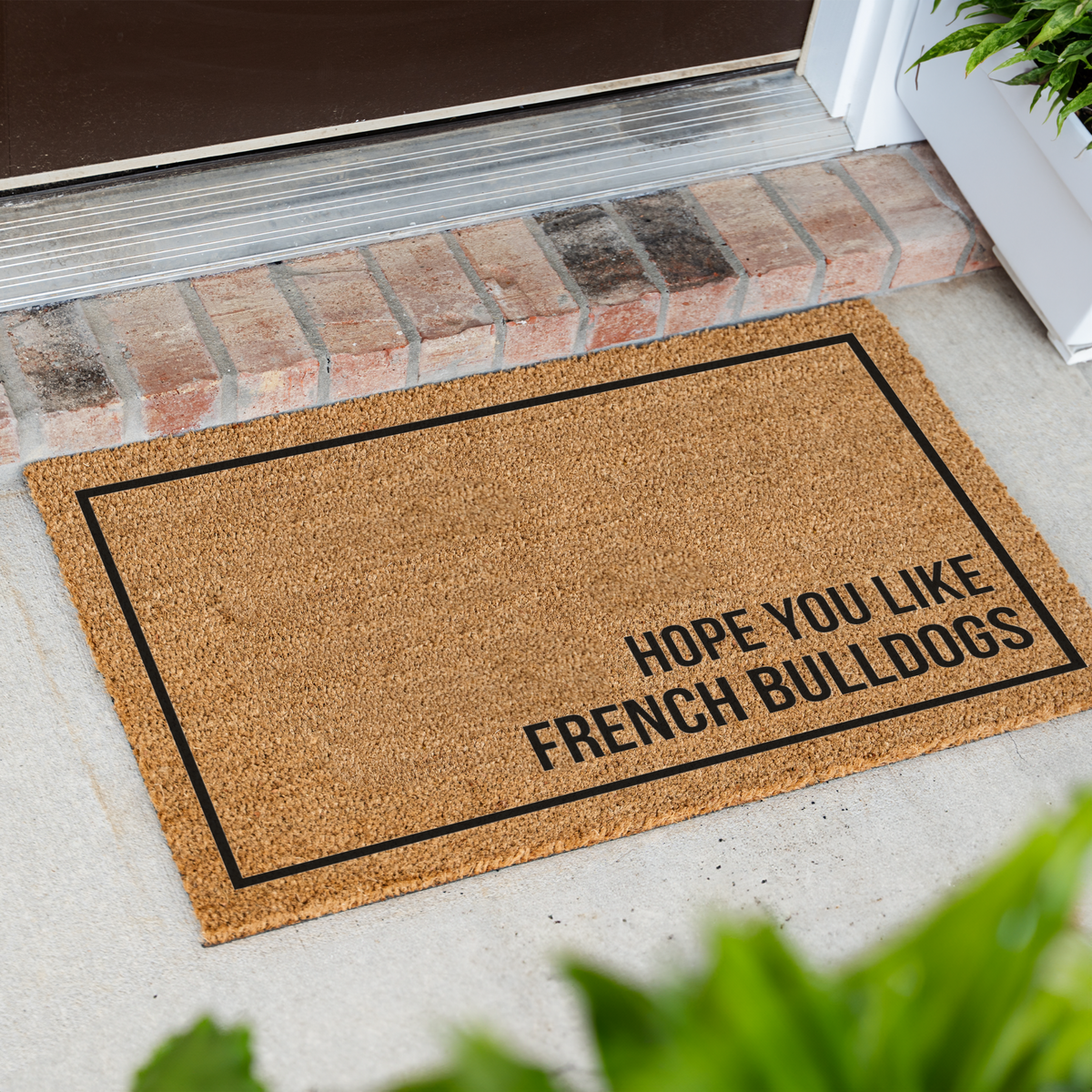 French Bulldog Doormat, Hope You Like French Bulldogs Welcome Mat, Funny Frenchie Gift, Dog Lover Doormat, Pet Owner Housewarming Gift