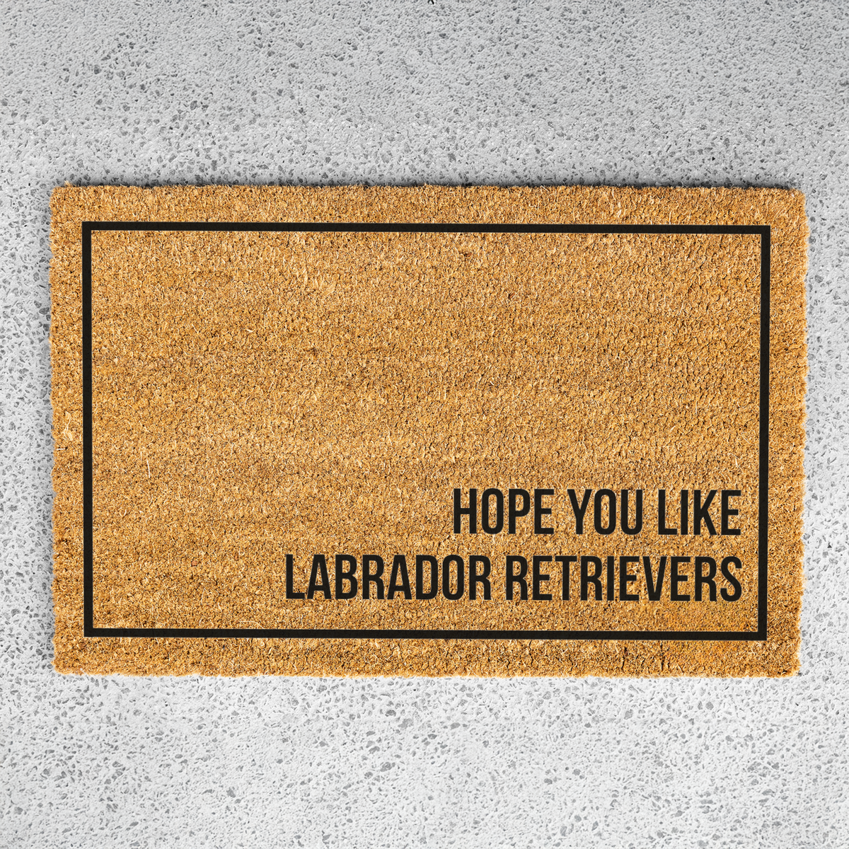 Labrador Retriever Doormat, Hope You Like Labradors Welcome Mat, Funny Lab Gift, Dog Lover Doormat, Pet Owner Gift, Housewarming Gift