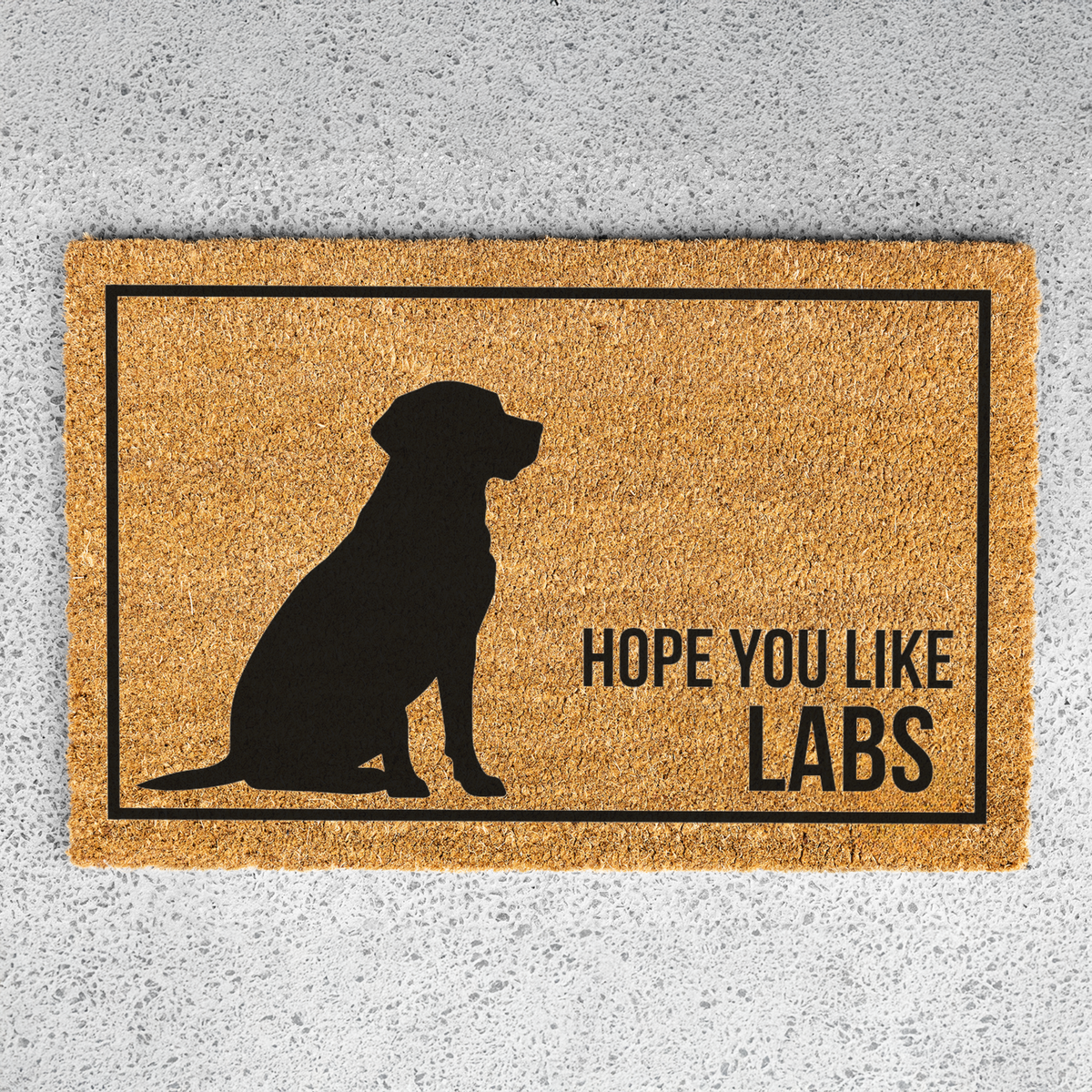 Labrador Doormat, Hope You Like Labs Welcome Mat, Funny Lab Doormat, Labrador Retriever Gift, Dog Lover Gift, Lab Mom Housewarming Gift