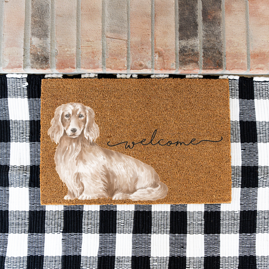 Long Haired Dachshund Doormat, Dachshund Welcome Mat, Wiener Dog Lover Gift, Dachshund Mom Gift, Cute Dog Porch Decor, Front Door Mat