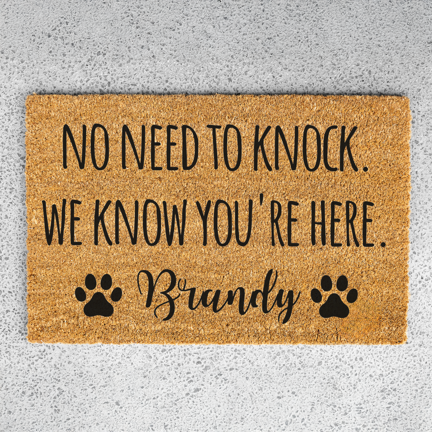 Personalized Funny Dog Welcome Doormat, Custom Dog Doormat, Indoor Outdoor Rug, Perfect for Entryway Decor