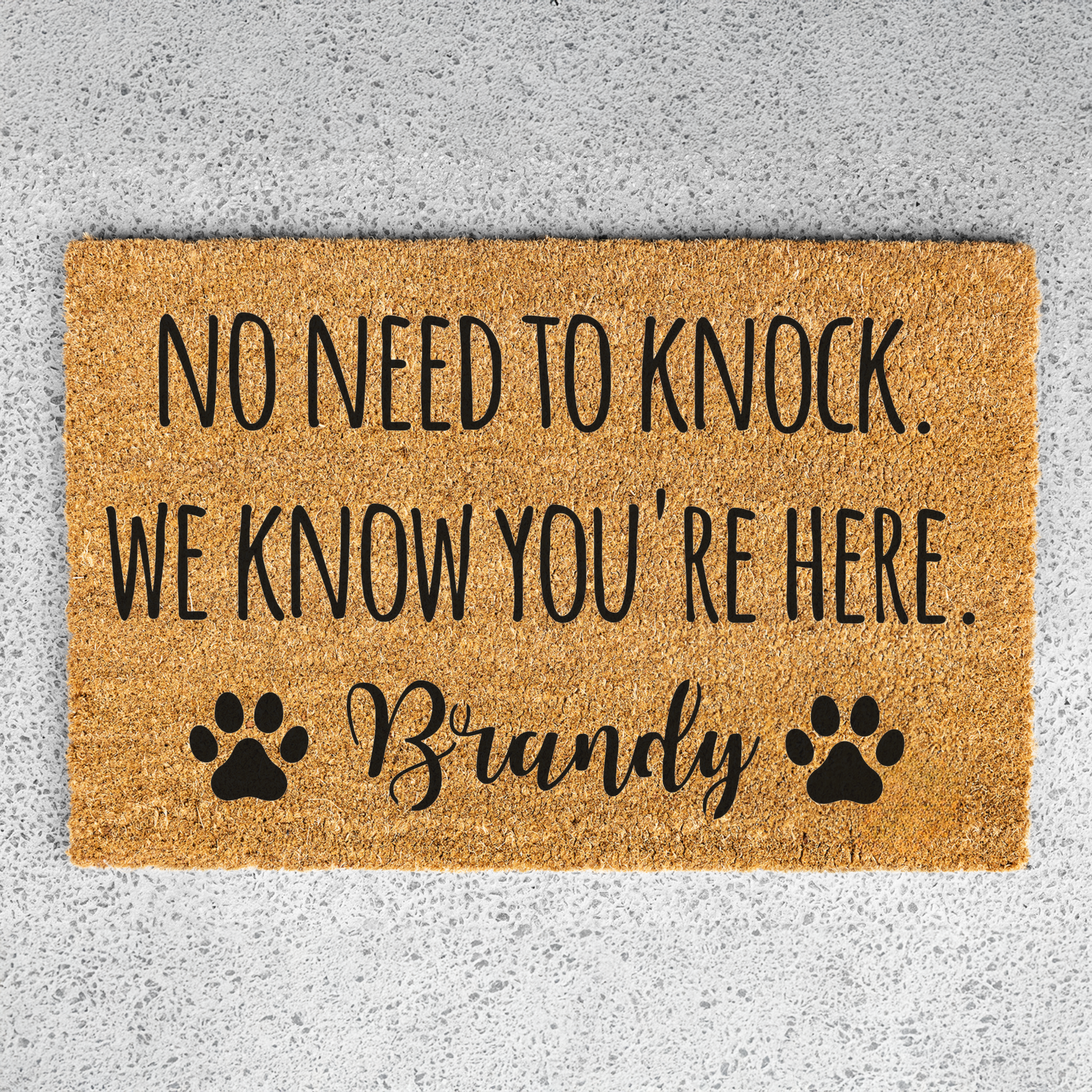 Personalized Funny Dog Welcome Doormat, Custom Dog Doormat, Indoor Outdoor Rug, Perfect for Entryway Decor