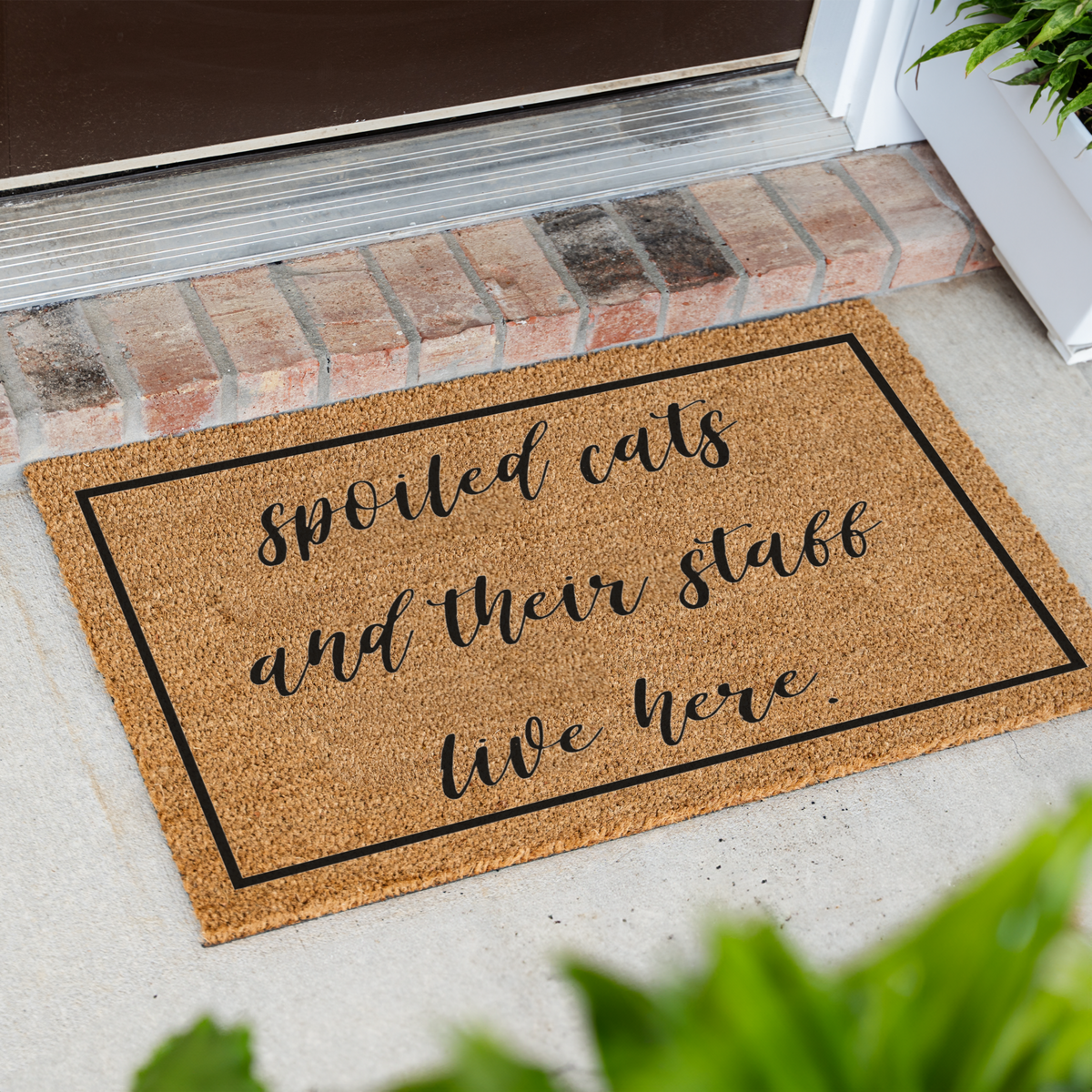 Spoiled Cats and Their Staff Live Here Doormat, Funny Cat Welcome Mat, Cat Lover Gift, Pet Owner Front Door Decor, Housewarming Gift