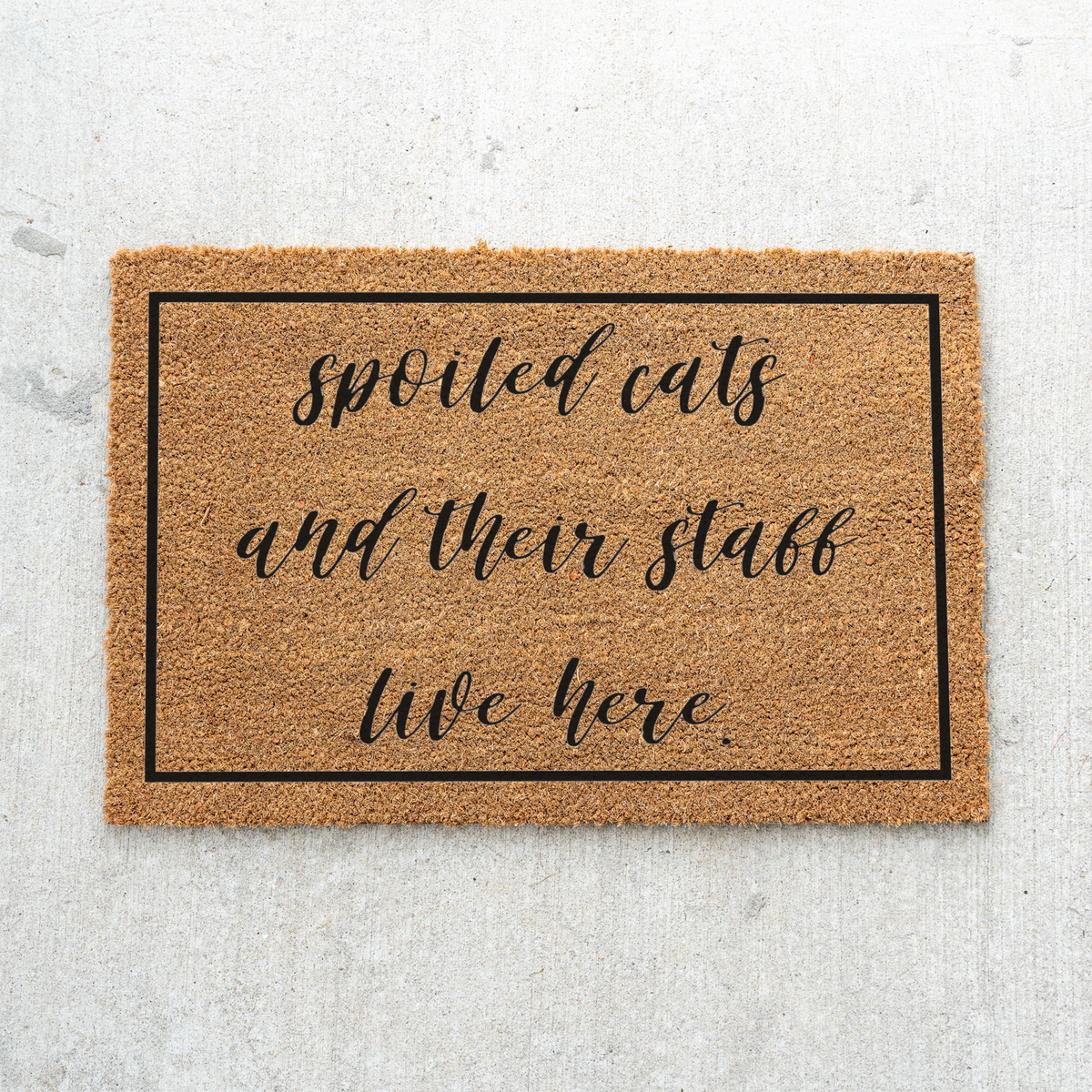 Spoiled Cats and Their Staff Live Here Doormat, Funny Cat Welcome Mat, Cat Lover Gift, Pet Owner Front Door Decor, Housewarming Gift