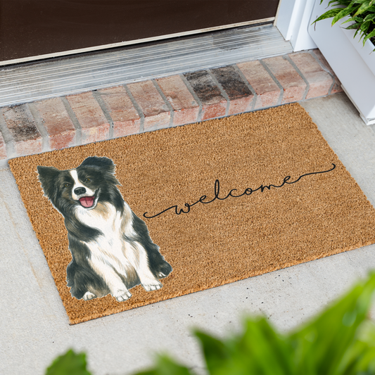 Border Collie Doormat, Dog Welcome Mat, Border Collie Lover Gift, Cute Dog Front Door Mat, Pet Lover Porch Decor, Housewarming Gift