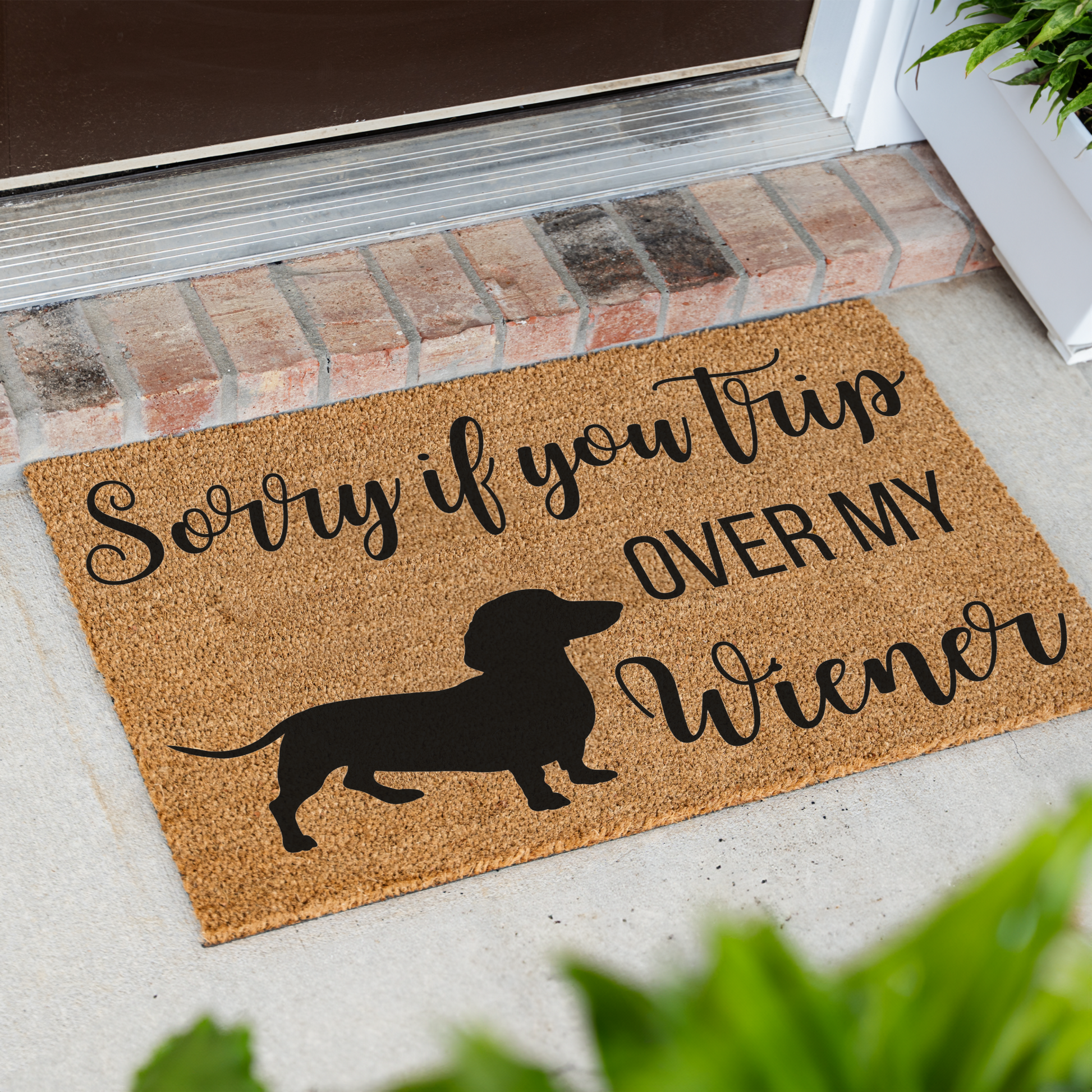 Sorry If You Trip Over My Weiner Doormat, Dog Welcome Doormat, Weiner Dog Doormat, Indoor Outdoor Rug, Durable Coir, Perfect for Pet Lovers