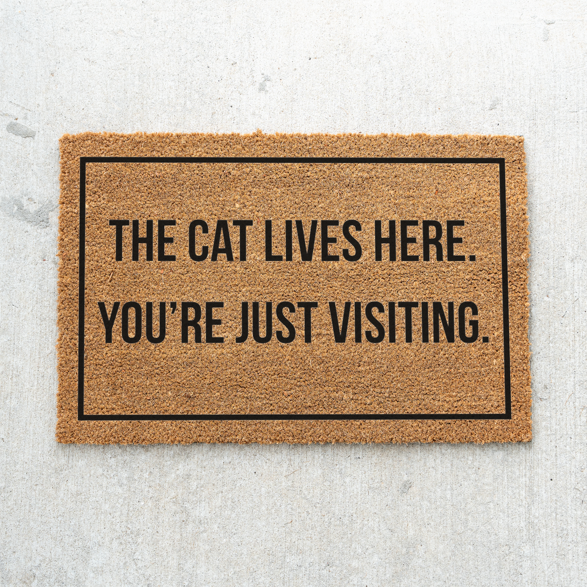 The Cat Lives Here You’re Just Visiting Doormat, Funny Cat Welcome Mat, Cat Lover Gift, Cat Owner Door Mat, Housewarming Front Door Decor