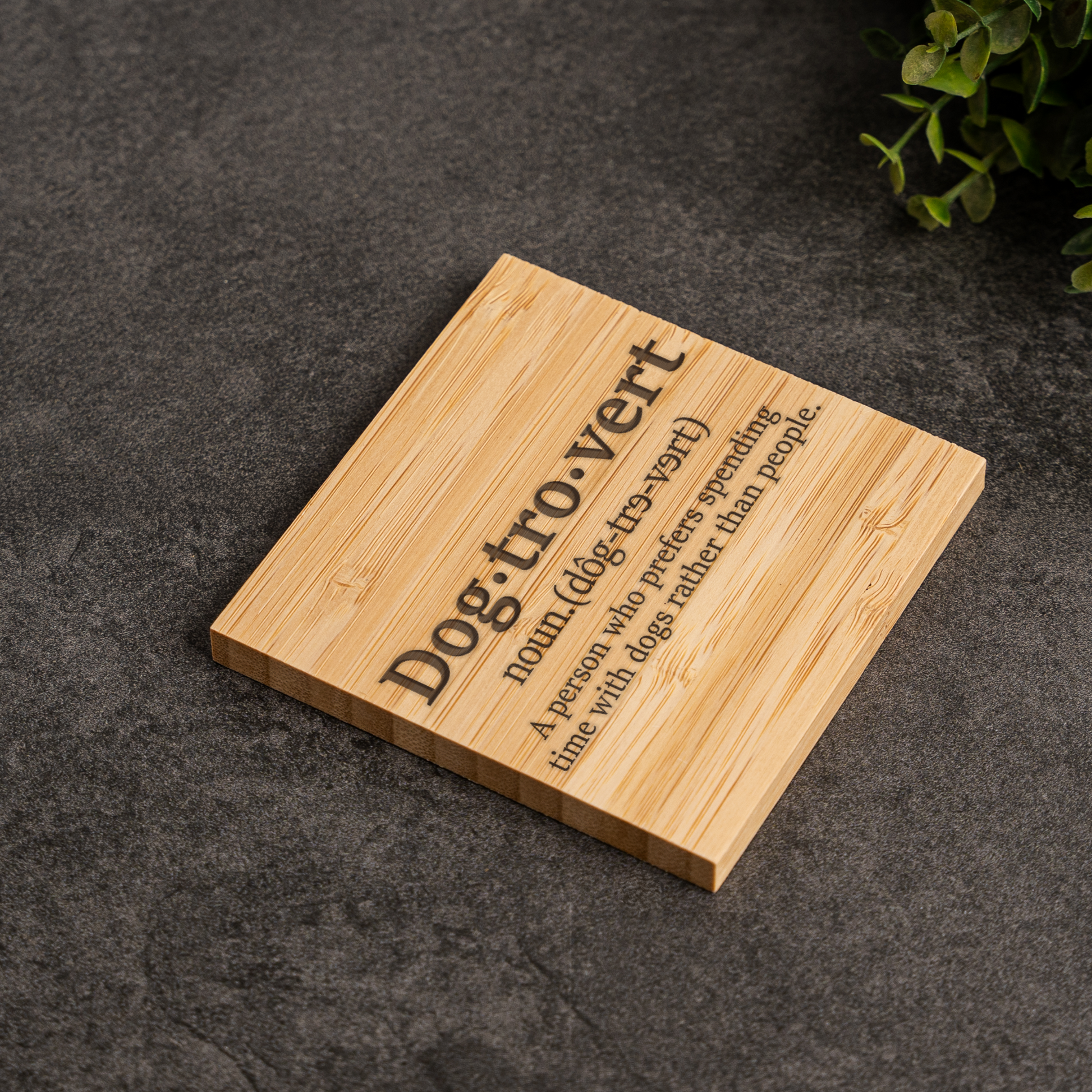 Bamboo Coaster Set With Holder, Dogtrovert Design, Eco-Friendly Home Decor