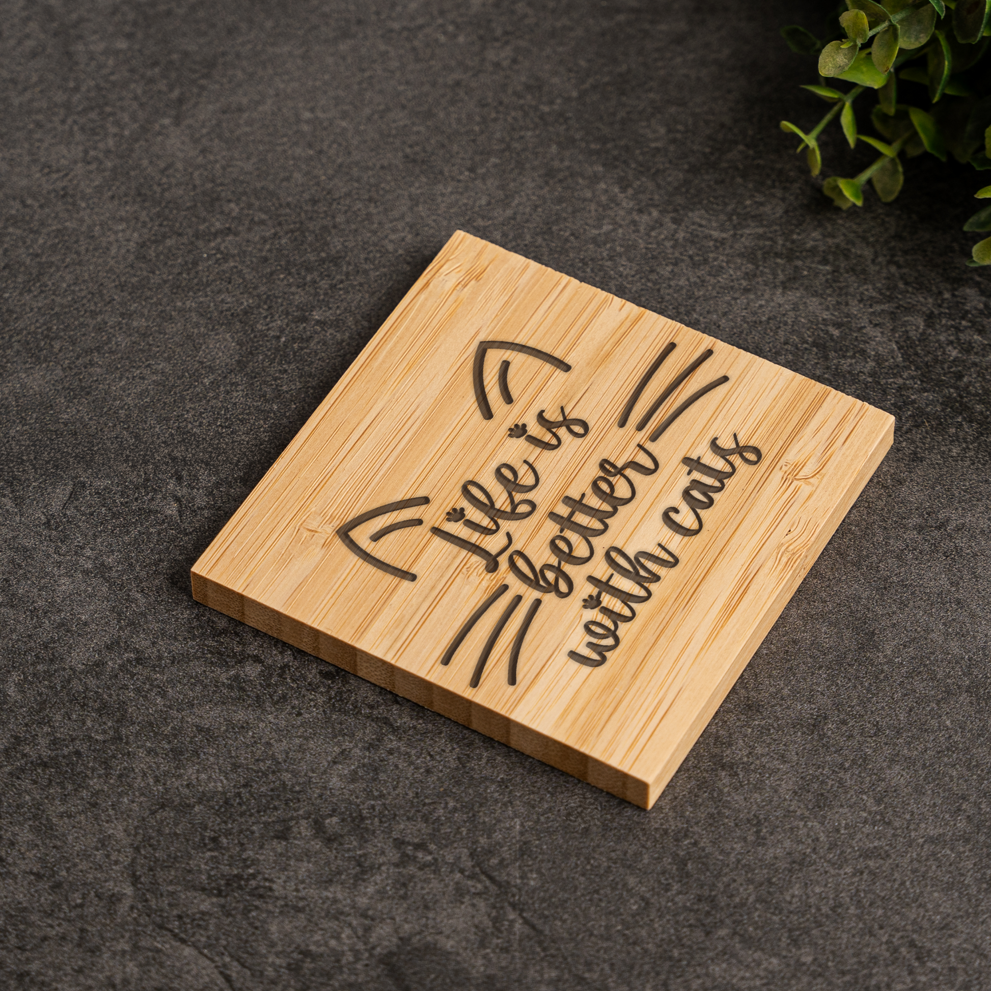 Bamboo Coaster Set With Holder, Cat Lovers Gift, Life is Better with Cats Design, Eco-Friendly Decor
