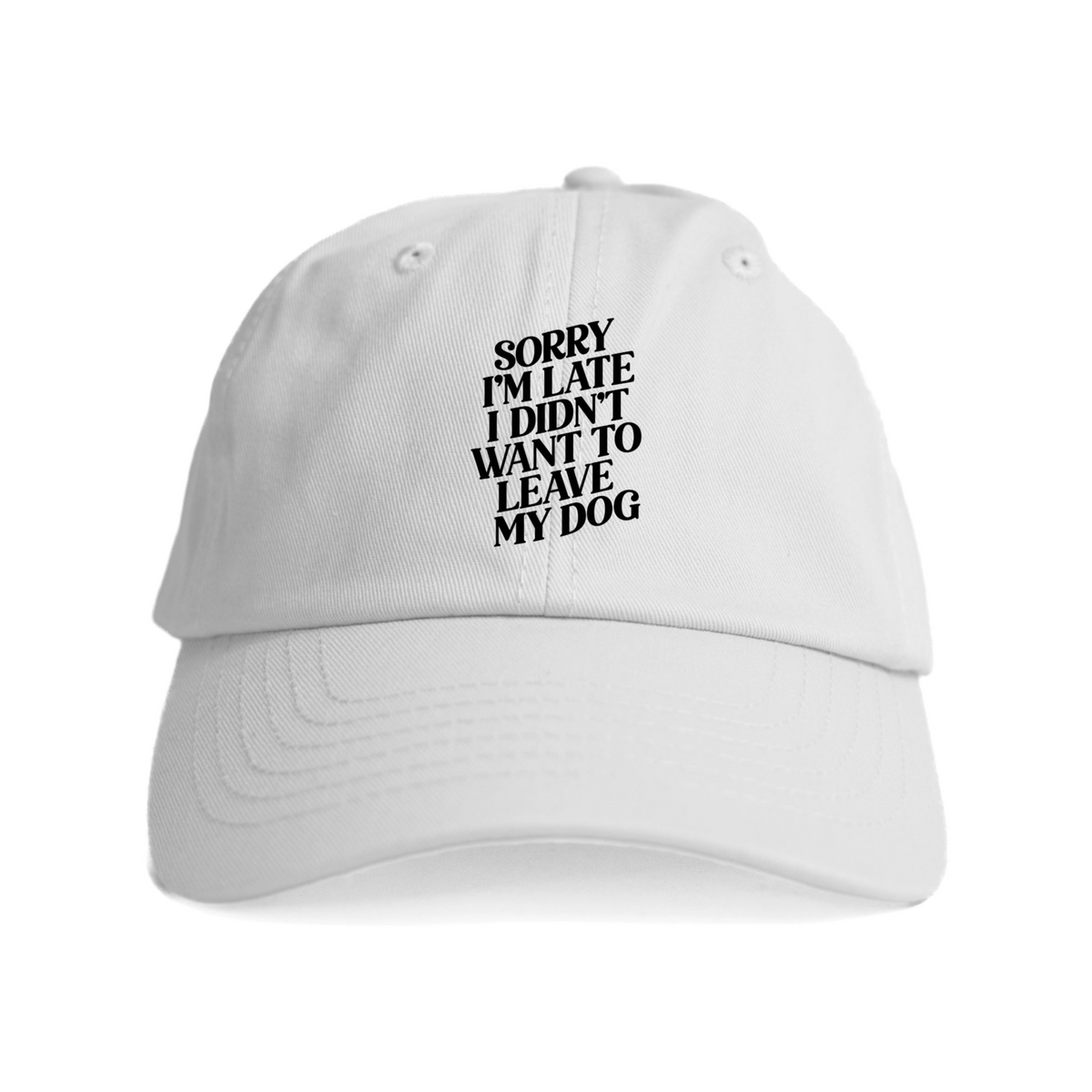 Sorry I'm Late I Didn't Want to Leave My Dog Hat