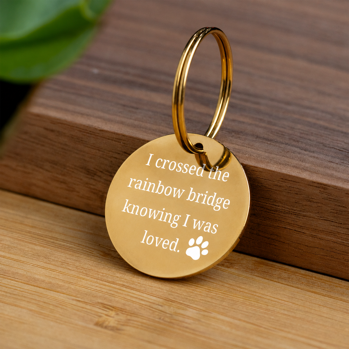 Rainbow Bridge Pet Memorial Keychain