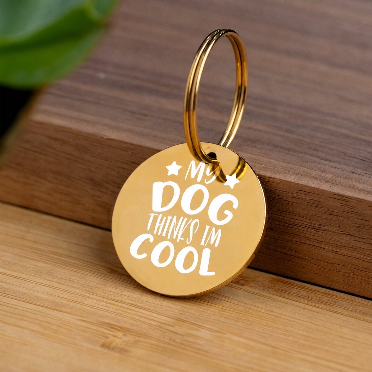 'My Dog Thinks I'm Cool' Engraved Keychain