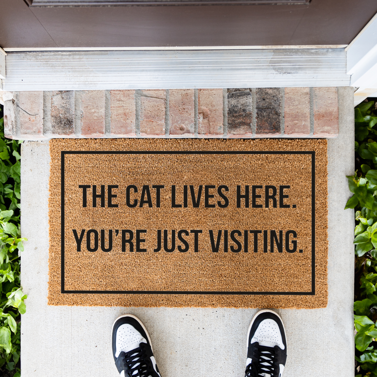 The Cat Lives Here You’re Just Visiting Doormat, Funny Cat Welcome Mat, Cat Lover Gift, Cat Owner Door Mat, Housewarming Front Door Decor