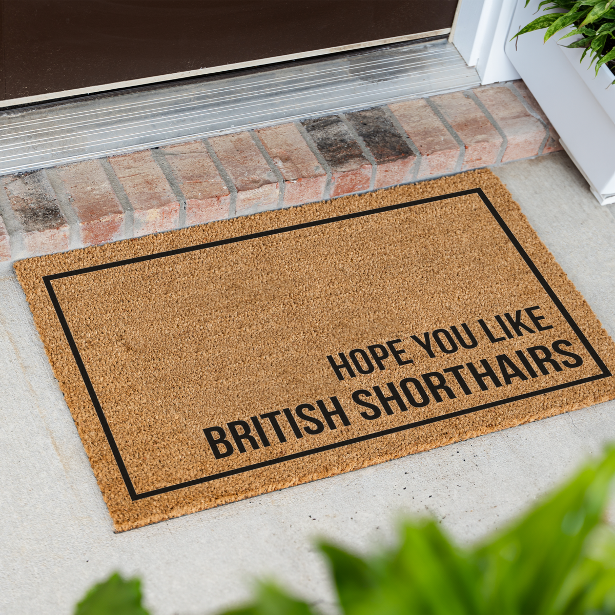 British Shorthair Cat Doormat, Hope You Like British Shorthairs Welcome Mat, Funny Cat Lover Gift, Cat Owner Door Mat, Housewarming Decor