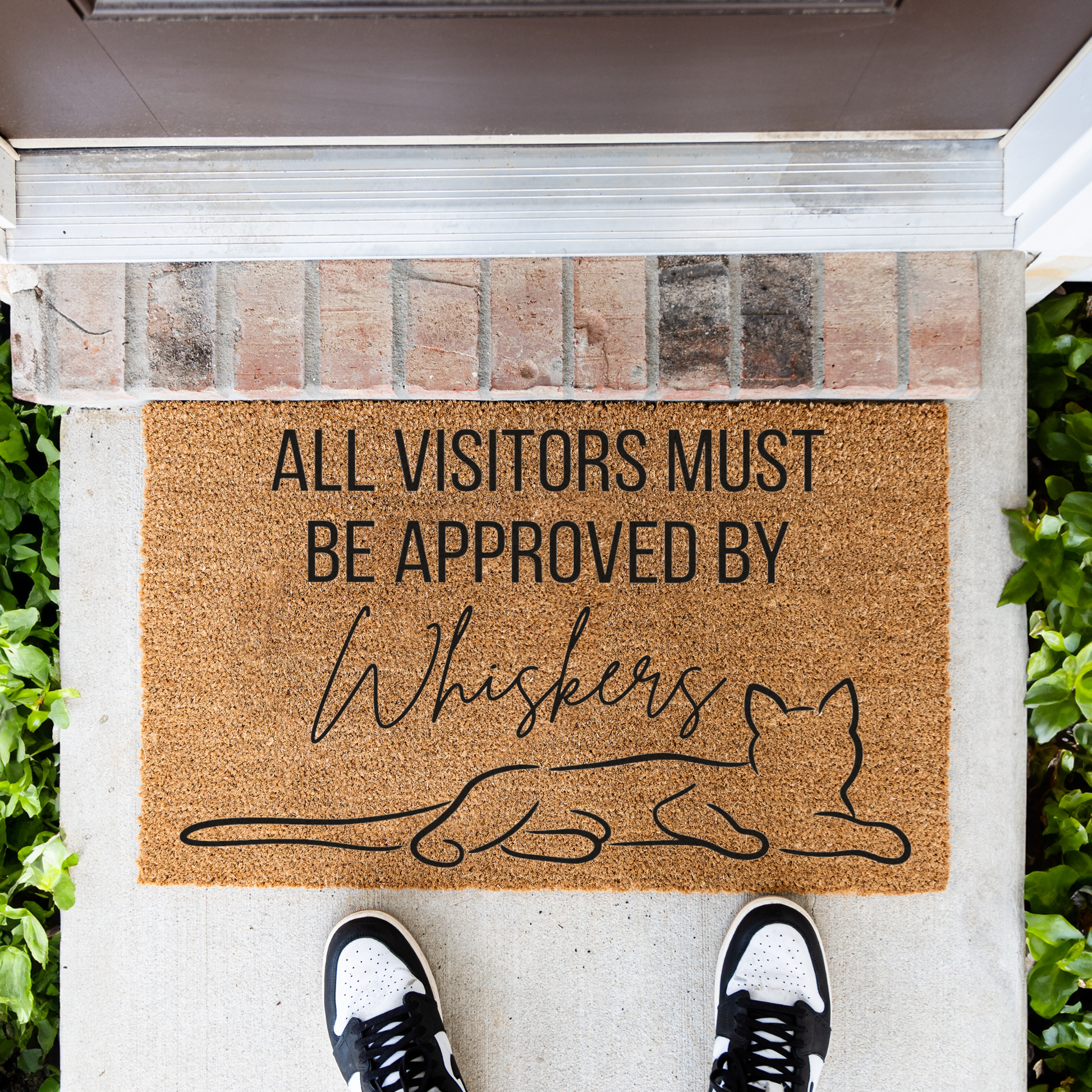 All Visitors Must Be Approved by The Cat Doormat