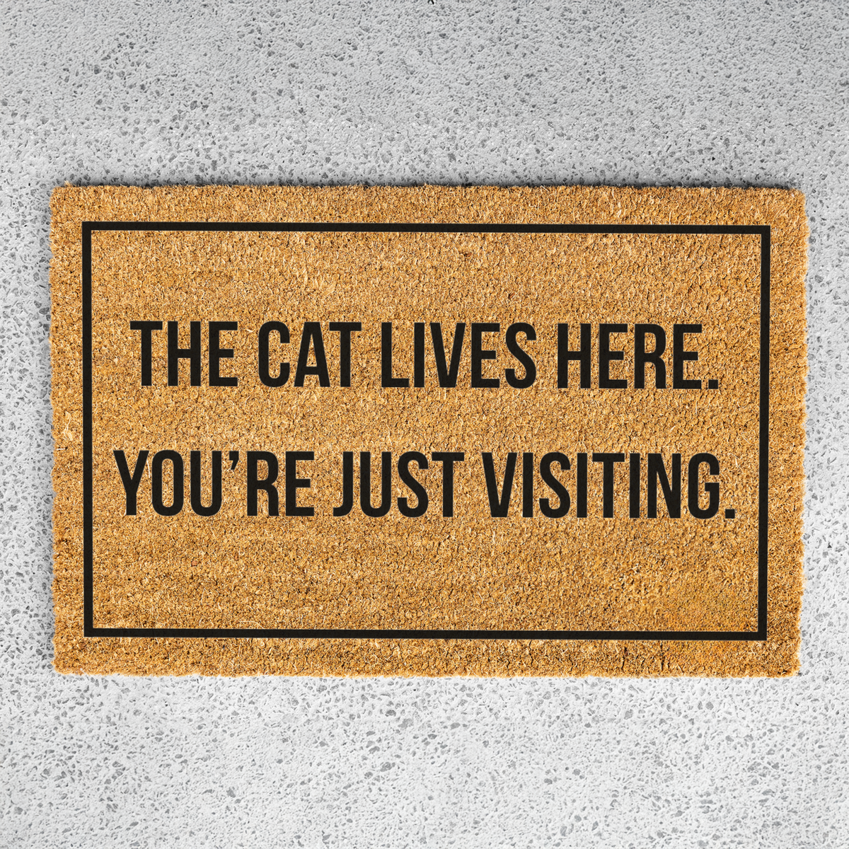 The Cat Lives Here You’re Just Visiting Doormat, Funny Cat Welcome Mat, Cat Lover Gift, Cat Owner Door Mat, Housewarming Front Door Decor