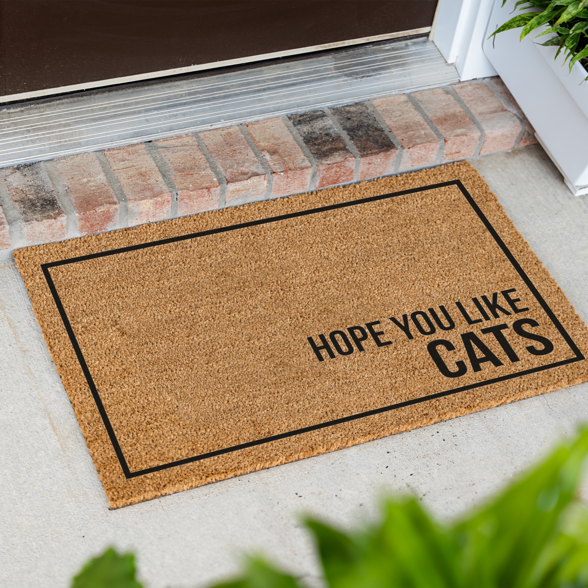 Hope You Like Cats Doormat, Funny Cat Welcome Mat, Cat Lover Gift, Cat Owner Door Mat, Minimalist Housewarming Gift, Front Door Cat Decor