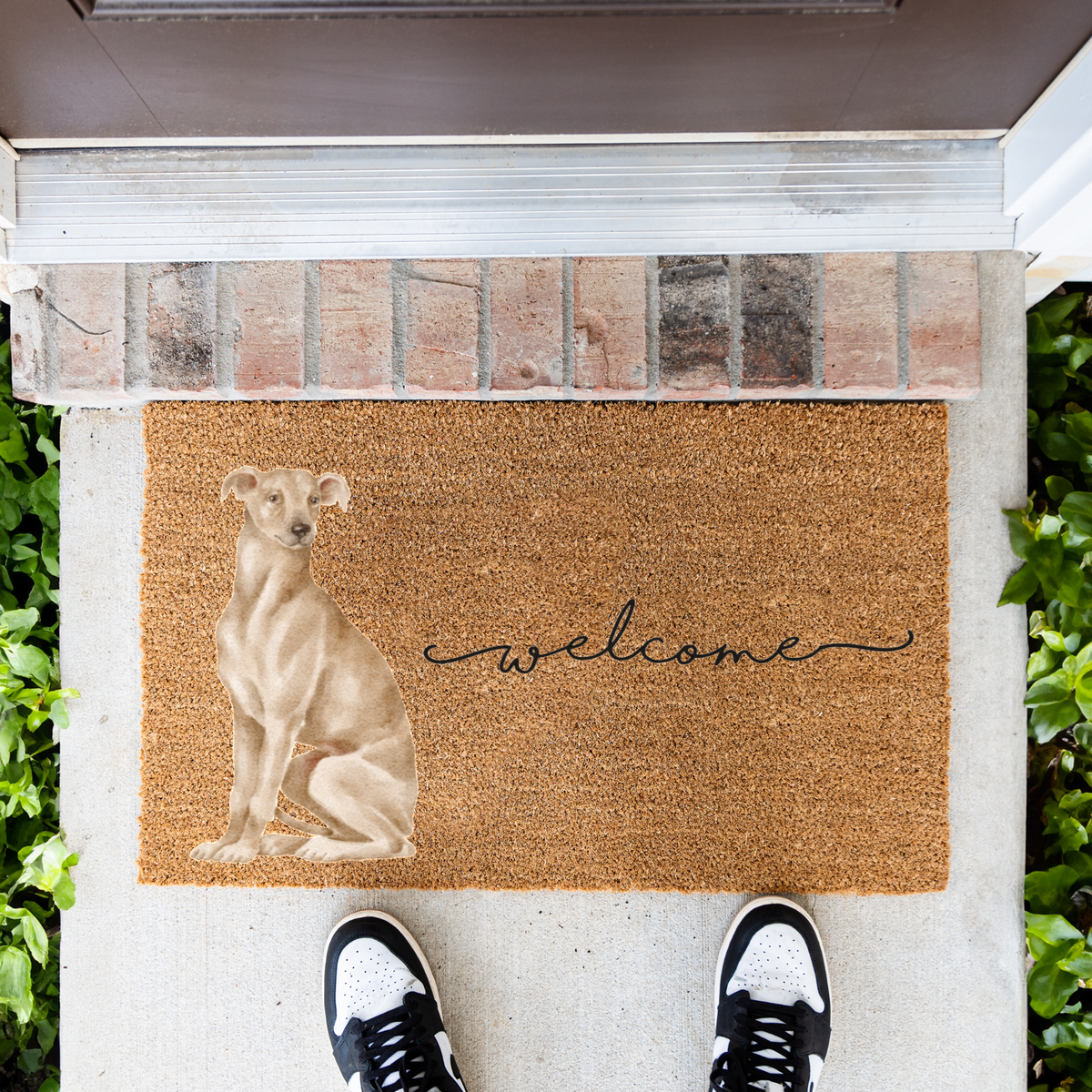 Italian Greyhound Doormat, Italian Greyhound Welcome Mat, Iggy Dog Lover Gift, Greyhound Mom Gift, Dog Porch Decor, Cute Front Door Mat