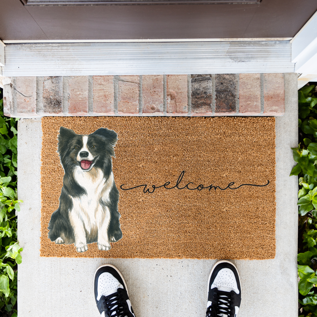 Border Collie Doormat, Dog Welcome Mat, Border Collie Lover Gift, Cute Dog Front Door Mat, Pet Lover Porch Decor, Housewarming Gift