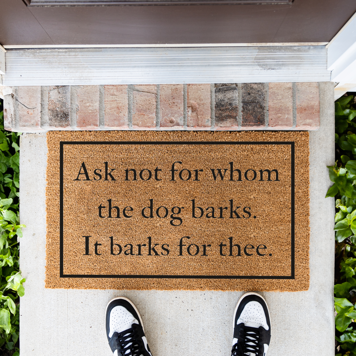Funny Dog Doormat, Welcome Dog Doormat, Durable Coir Mat, Funny Entryway Decor, Non Slip Backing for Front Porch