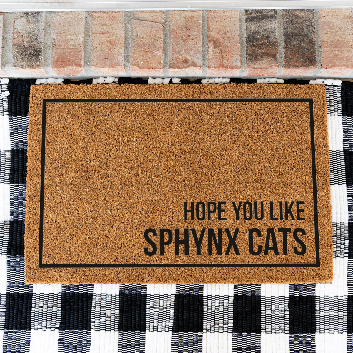 Sphynx Cat Doormat, Hope You Like Sphynx Cats Welcome Mat, Funny Cat Lover Gift, Hairless Cat Owner Door Mat, Housewarming Front Door Decor