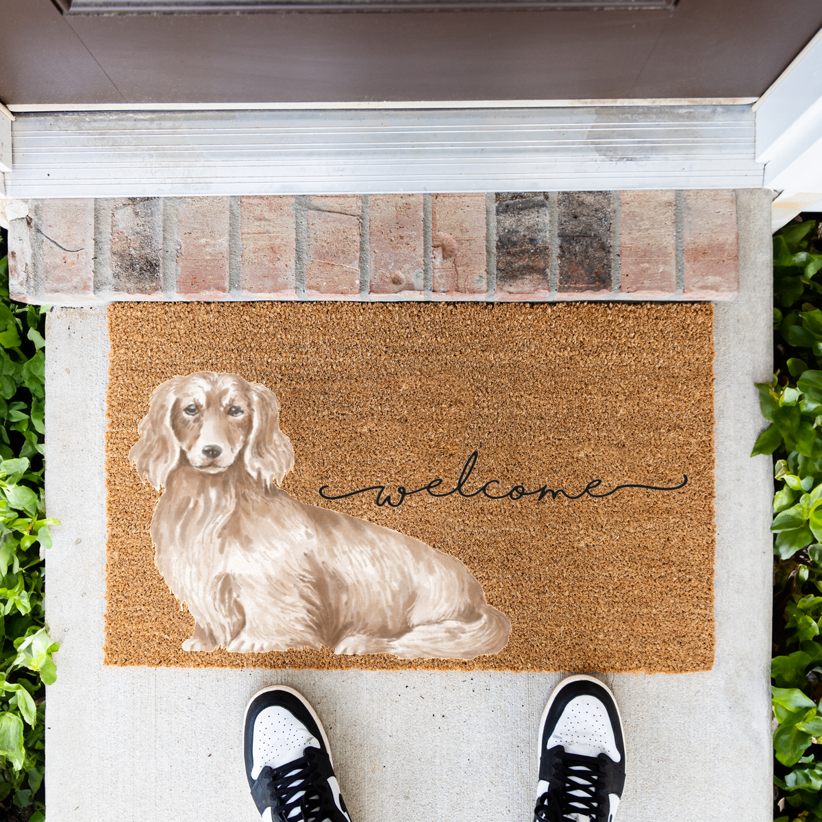Long Haired Dachshund Doormat, Dachshund Welcome Mat, Wiener Dog Lover Gift, Dachshund Mom Gift, Cute Dog Porch Decor, Front Door Mat