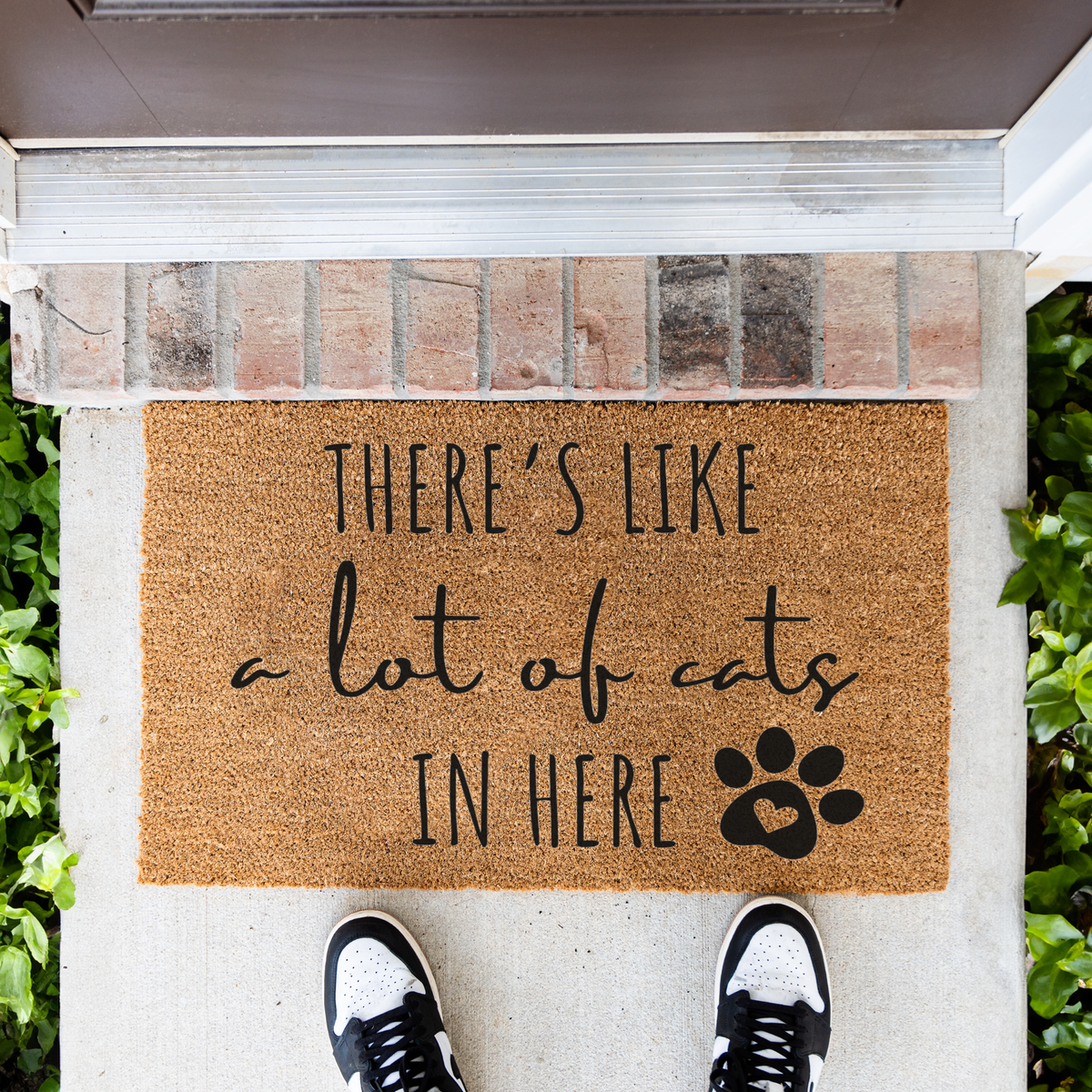 Funny Cat Doormat, There's Like a Lot of Cats in Here Welcome Mat, Cat Lover Gift, Paw Print Door Mat, Funny Pet Home Decor