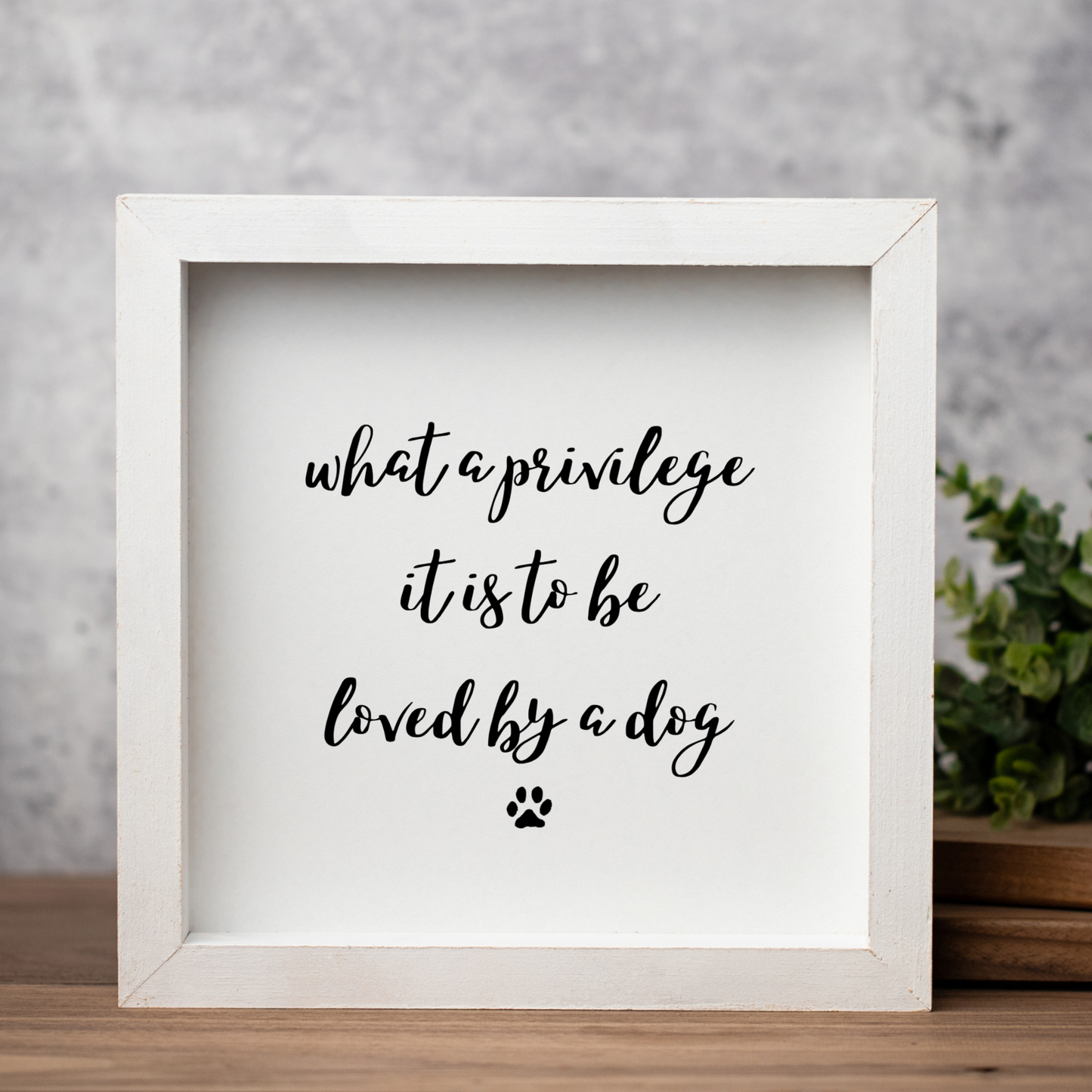 "What A Privilege It Is To Be Loved By A Dog" Framed Wall Art